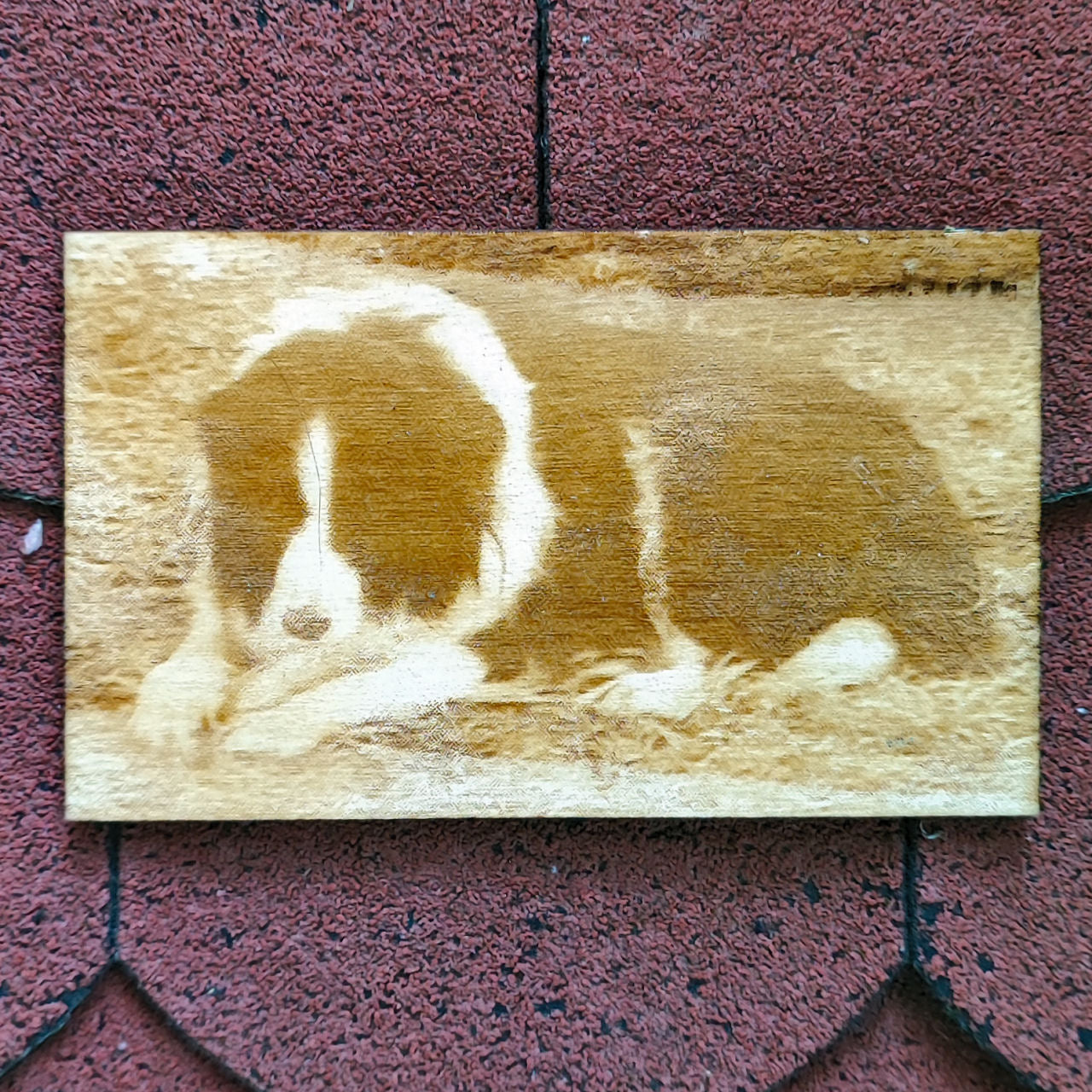 Fotogravur